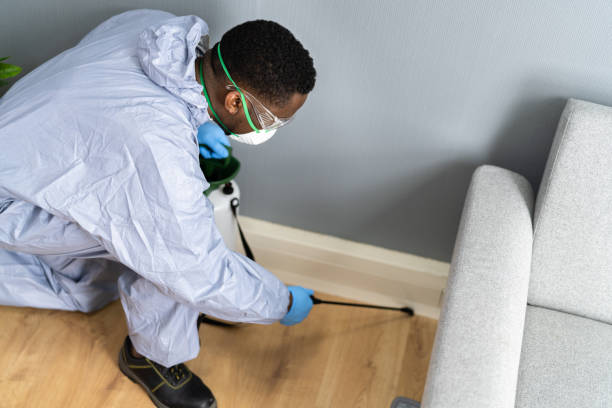 Best Pest Control for Multi-Family Homes  in Kingsley, MI